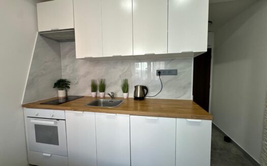 Pronájem bytu 1+kk, 16 m² – Praha, Nové Město, ulice Sokolská