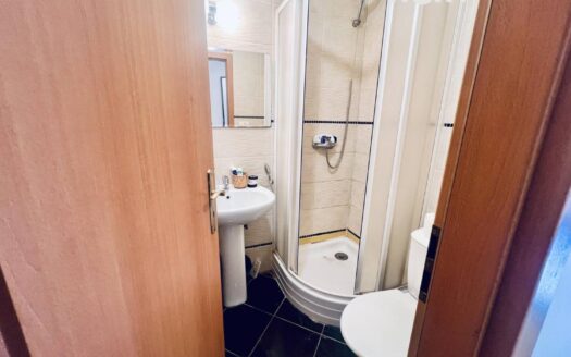 Pronájem bytu 2+kk, 45 m² – Praha, Žižkov, ulice Ševčíkova