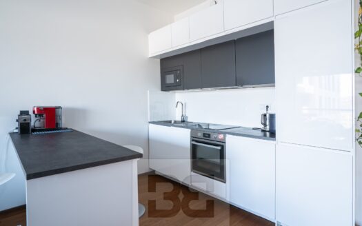 Prodej bytu 2+kk, 63 m² – Praha, Holešovice, ulice Jankovcova