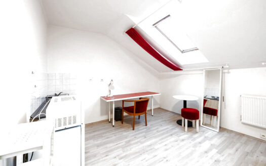 Pronájem bytu 1+kk, 29 m² – Praha, Žižkov, ulice Cimburkova