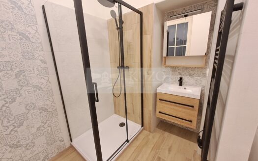 Pronájem bytu 2+kk, 55 m² – Praha, Žižkov, ulice Domažlická