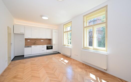 Pronájem bytu 1+kk,  m² – Praha, Smíchov, ulice