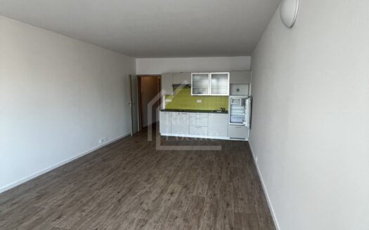 Pronájem bytu 1+kk, 37 m² – Praha, Vršovice, ulice Pod soutratím