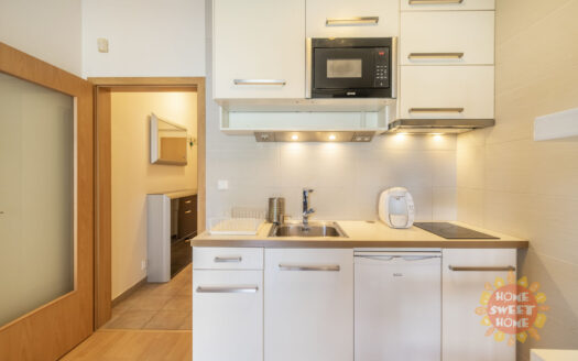 Pronájem bytu 1+kk, 33 m² – Praha, Smíchov, ulice Jeřabinová