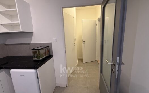 Pronájem bytu 1+kk, 17 m² – Praha, Stodůlky, ulice Nušlova