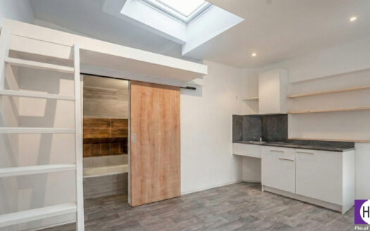 Prodej bytu 1+kk, 20 m² – Praha, Žižkov, ulice Žižkov