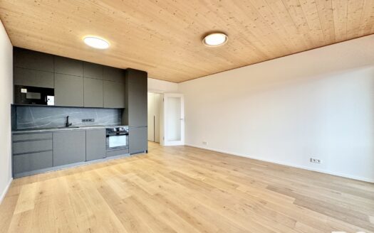 Pronájem bytu 1+kk, 41 m² – Praha, Stodůlky, ulice Ujgurská