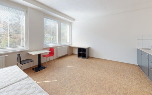 Pronájem bytu 1+kk, 40 m² – Praha, Smíchov, ulice Křížová