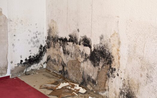 Reklamace bytu po koupi Kdy máte šanci uspět a co musíte dokázat