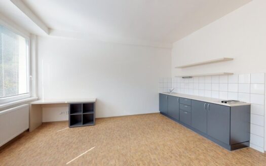 Pronájem bytu 1+kk, 40 m² – Praha, Smíchov, ulice Křížová