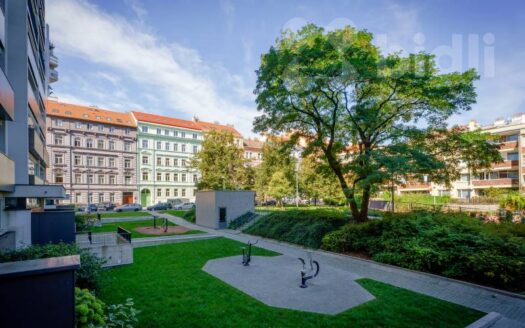 Prodej bytu 1+kk, 16 m² – Praha, Žižkov, ulice Bořivojova