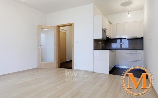 Pronájem bytu 1+kk, 24 m² – Praha, Horní Měcholupy, ulice Mantovská