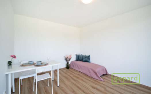 Pronájem bytu 1+kk, 28 m² – Praha, Žižkov, ulice Hartigova