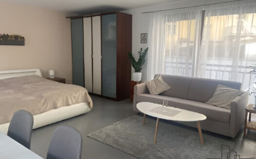 Pronájem bytu 1+kk, 50 m² – Praha, Vinohrady, ulice Francouzská
