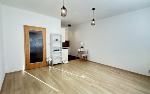 Pronájem bytu 1+kk, 24 m² – Praha, Horní Měcholupy, ulice Mantovská