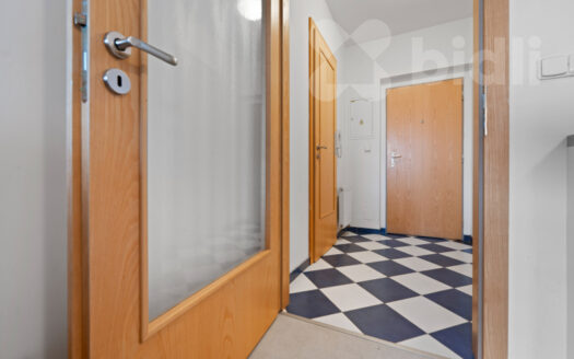 Pronájem bytu 1+kk, 38 m² – Praha, Podolí, ulice K sídlišti