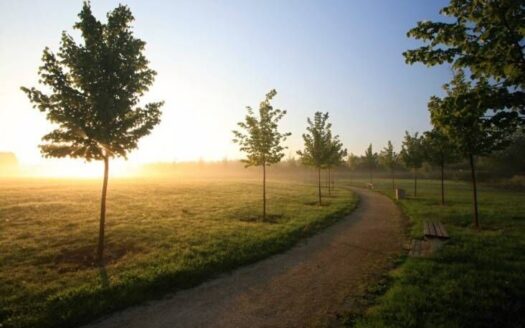 Pronájem bytu 2+kk, 60 m² – Praha, Dolní Měcholupy, ulice Honzíkova