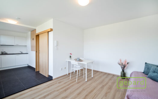 Pronájem bytu 1+kk, 28 m² – Praha, Žižkov, ulice Hartigova