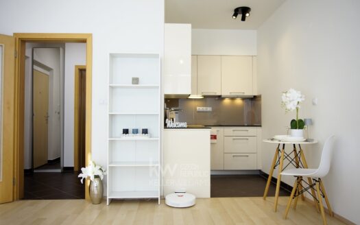 Pronájem bytu 1+kk, 24 m² – Praha, Horní Měcholupy, ulice Mantovská