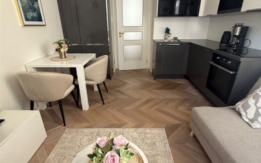 Pronájem bytu 2+kk, 38 m² – Praha, Vinohrady, ulice U Zvonařky