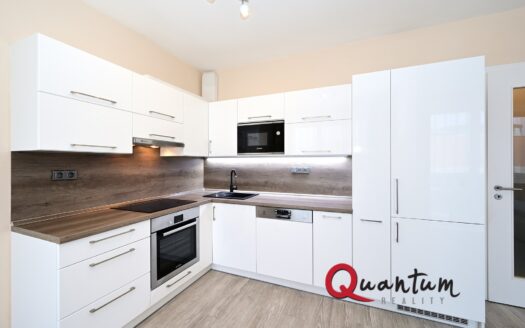 Pronájem bytu 1+kk, 38 m² – Praha, Žižkov, ulice Olgy Havlové