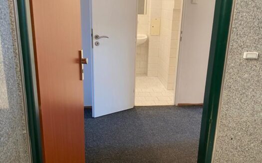 Pronájem bytu 2+kk, 47 m² – Praha, Vysočany, ulice Freyova