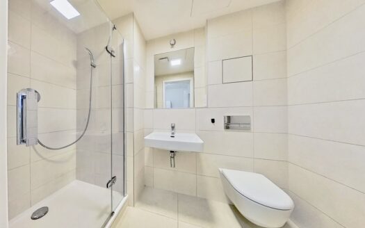 Pronájem bytu 1+kk, 35 m² – Praha, Hlubočepy, ulice Wassermannova