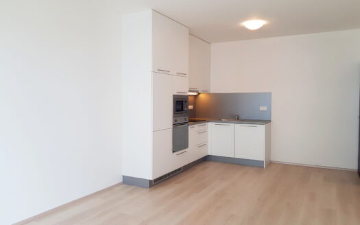Pronájem bytu 2+kk, 60 m² – Praha, Dolní Měcholupy, ulice Honzíkova