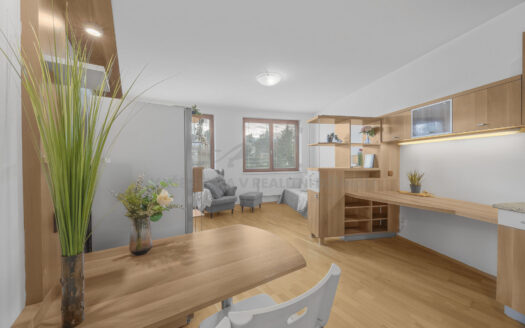 Prodej bytu 1+kk, 34 m² – Praha, Podolí, ulice Dvorecká