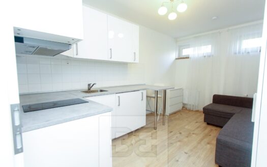 Pronájem bytu 1+kk, 21 m² – Praha, Krč, ulice Budějovická