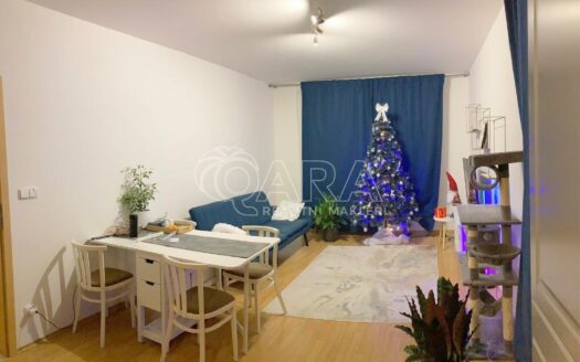 Pronájem bytu 2+kk, 50 m² – Praha, Michle, ulice V dolině