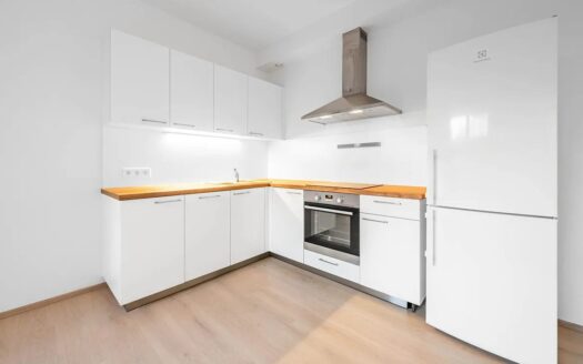 Pronájem bytu 1+kk, 33 m² – Praha, Žižkov, ulice Tetauerova