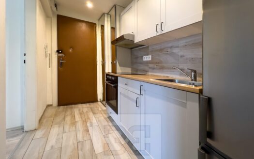 Pronájem bytu 2+1, 46 m² – Praha, Žižkov, ulice Přemyslovská