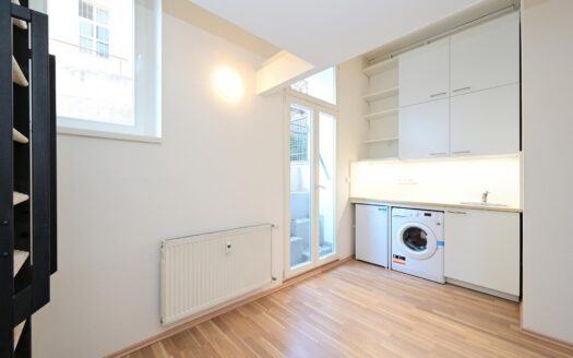 Byt 1+kk, m² – Praha, Smíchov, ulice k pronájmu | REALT