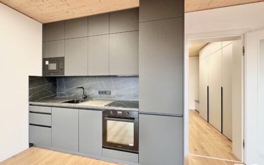 Byt 1+kk, 41 m² – Praha, Stodůlky, ulice Ujgurská k pronájmu | REALT