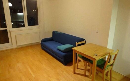 Pronájem bytu 1+kk, 27 m² – Praha, Michle, ulice Jemnická