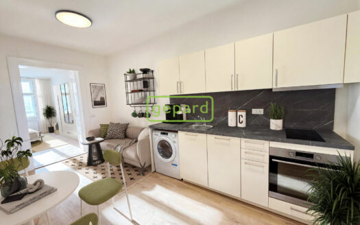 Pronájem bytu 2+kk, 34 m² – Praha, Žižkov, ulice Vlkova