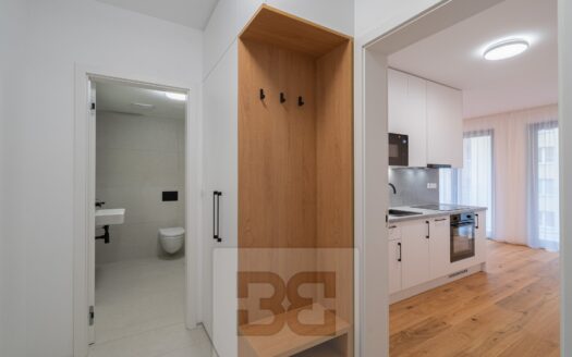 Pronájem bytu 1+kk, 40 m² – Praha, Košíře, ulice Starokošířská