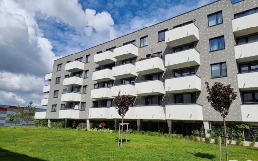 Byt 2+kk, 59 m² – Praha, Dolní Měcholupy, ulice Kryšpínova k pronájmu | REALT