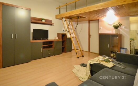 Byt 1+kk, 27 m² – Praha, Podolí, ulice Dvorecké náměstí 762 k pronájmu | REALT