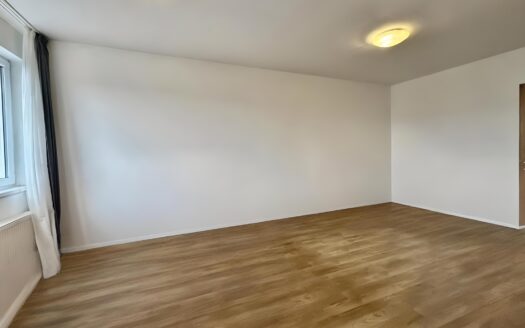 Pronájem bytu 1+1, 41 m² – Praha, Hloubětín, ulice Nademlejnská