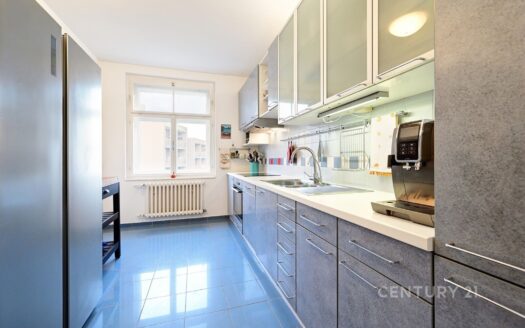 Prodej bytu 5+1 a více, 171 m² – Praha, Staré Město, ulice Nový lesík