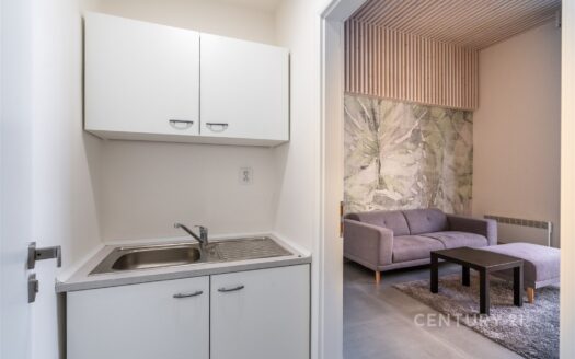 Prodej bytu 5+1 a více, 77 m² – Praha, Staré Město, ulice Jana Zajíce