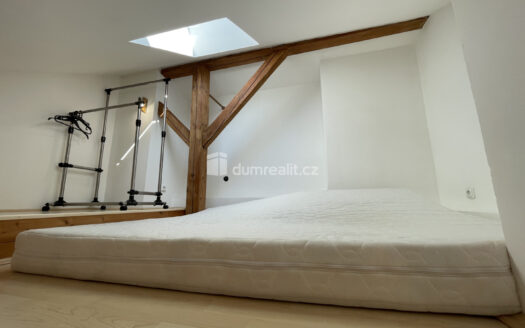 Pronájem bytu 1+kk, 32 m² – Praha, Michle, ulice Magistrů