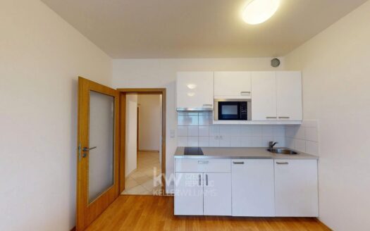Pronájem bytu 1+kk, 31 m² – Praha, Horní Měcholupy, ulice Modenská