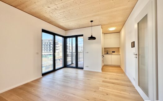 Byt 3+kk, 57 m² – Praha, Stodůlky, ulice Ujgurská k pronájmu | REALT