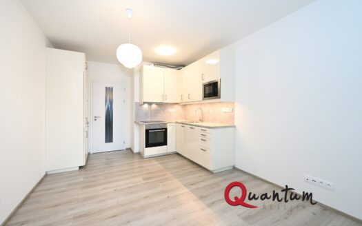 Byt 1+kk, 27 m² – Praha, Malešice, ulice Nad úžlabinou 708 k pronájmu | REALT