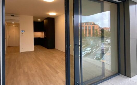 Byt 2+kk, 53 m² – Praha, Žižkov, ulice Šrámkové 2934 k pronájmu | REALT