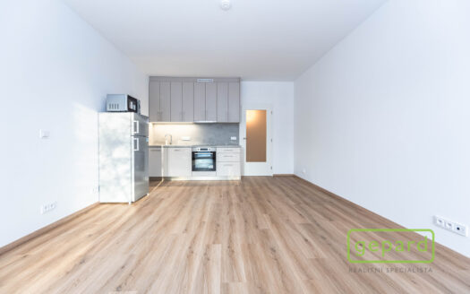 Byt 1+kk, 34 m² – Praha, Čakovice, ulice Danielova k pronájmu | REALT