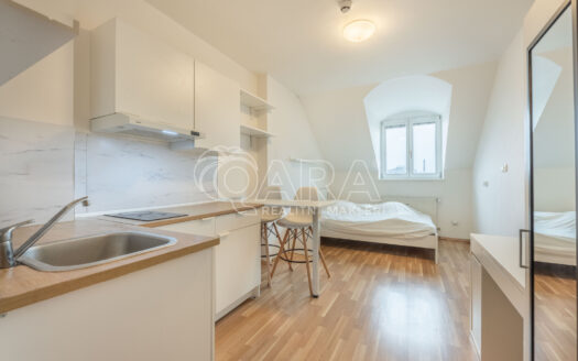 Byt 1+kk, 25 m² – Praha, Smíchov, ulice Radlická 857 na prodej | REALT